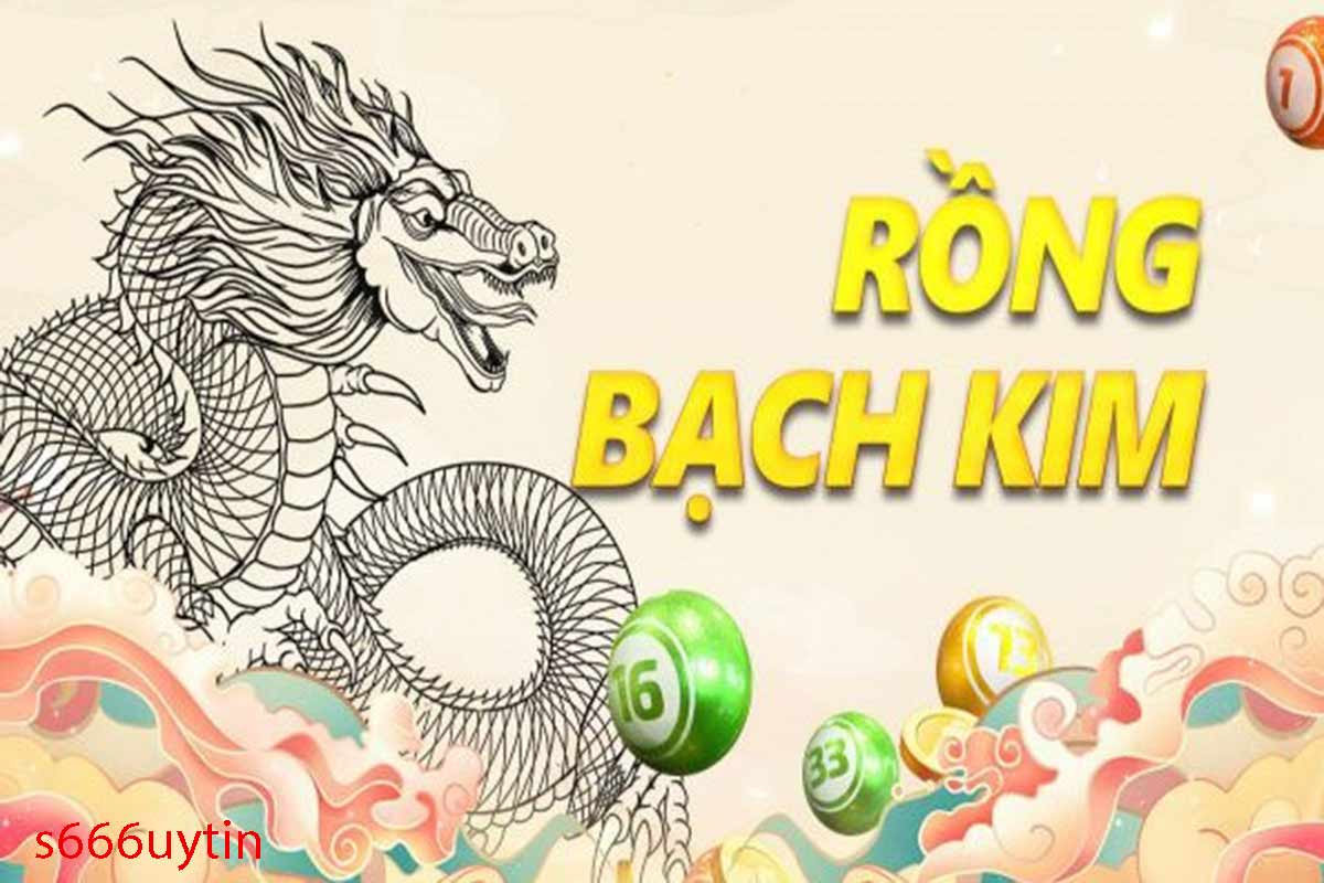 Rồng Bạch Kim plus